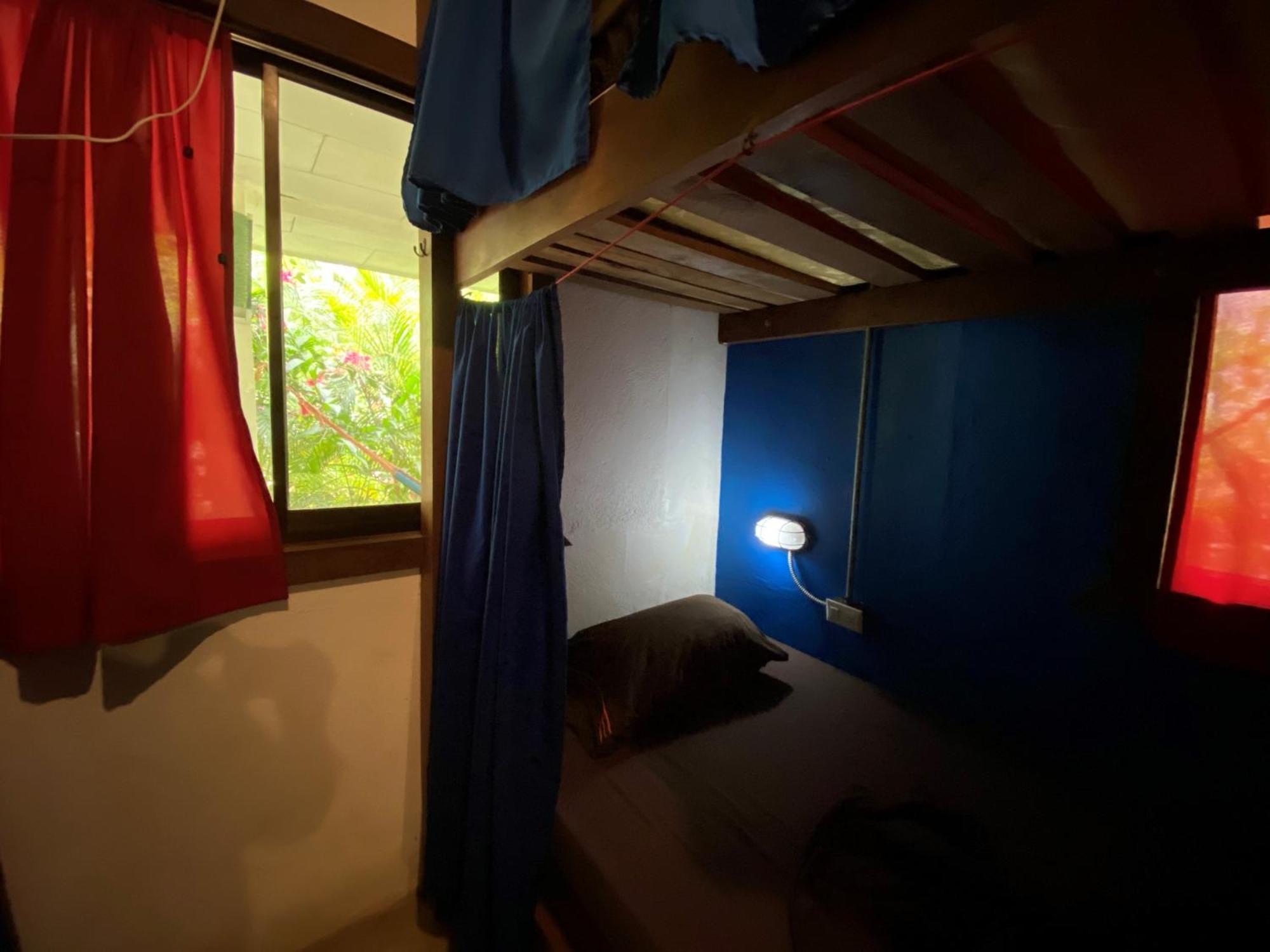 Playa 506 Beachfront Hostel Puerto Viejo de Talamanca Habitación foto