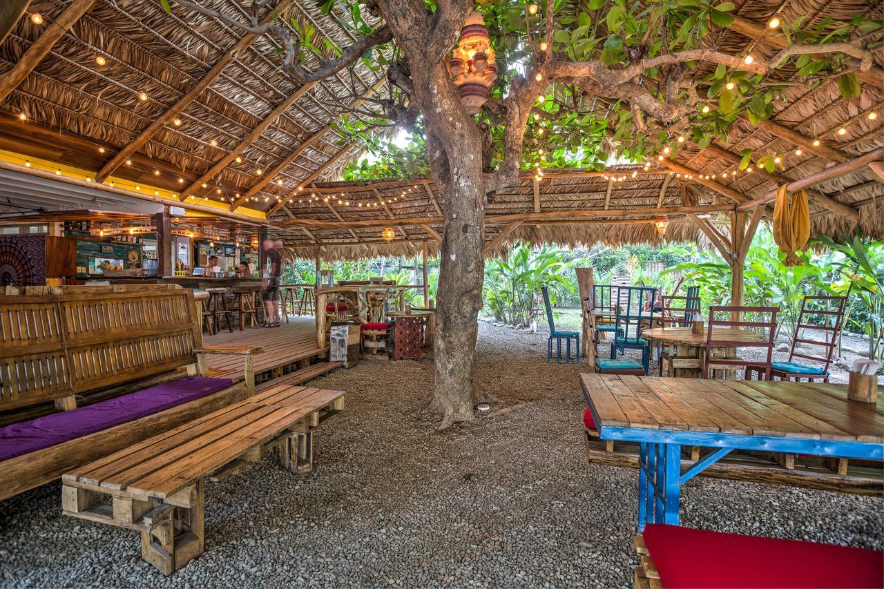 Playa 506 Beachfront Hostel Puerto Viejo de Talamanca Exterior foto